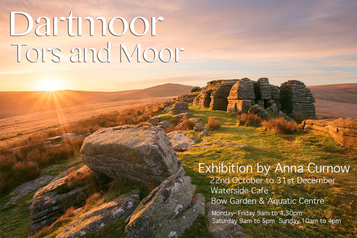 Dartmoor Tors and Moor