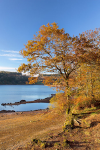 Burrator Reservoir, Dartmoor