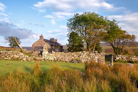 Ditsworthy Warren, Dartmoor