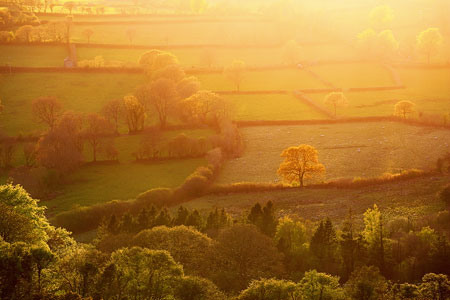Golden light over fields at Brentor, Dartmoor
