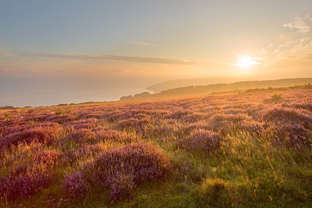 Sunrise from Porlock Common, Exmoor